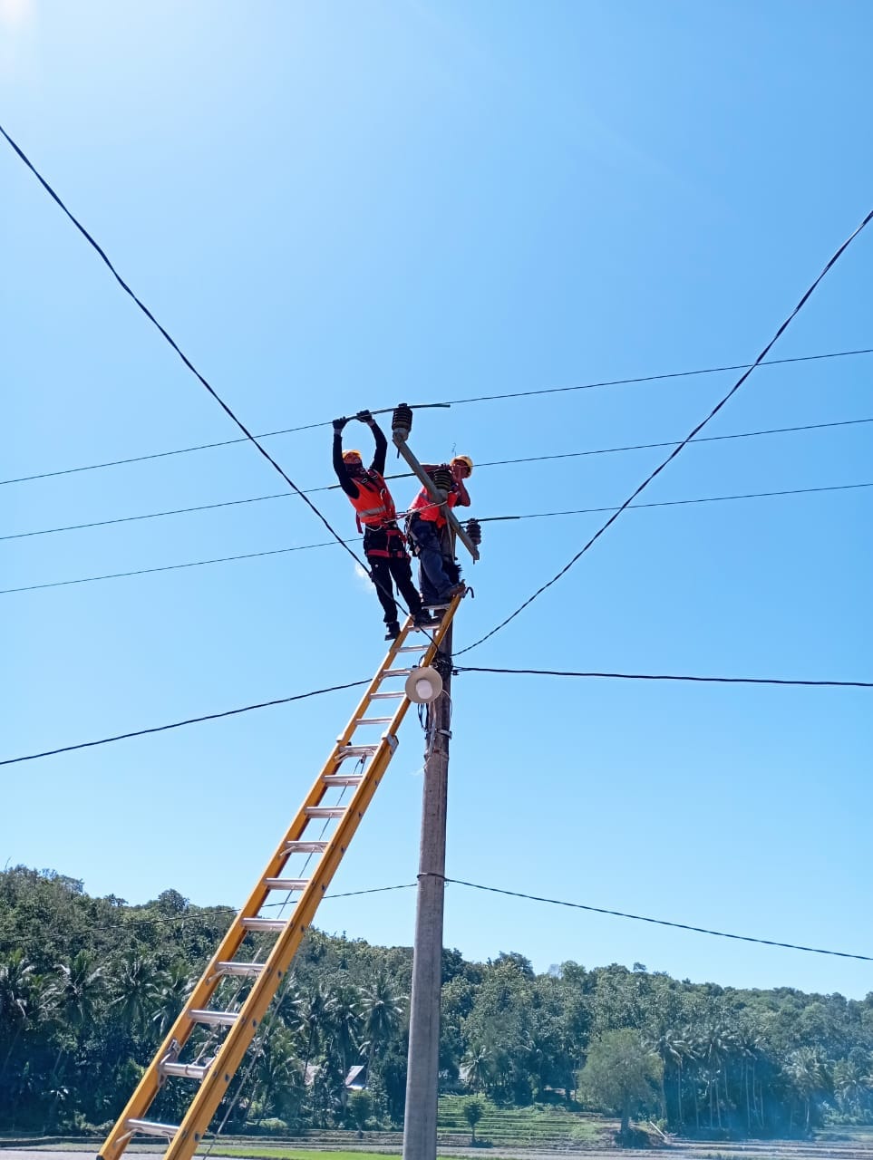 Jual Tangga PLN Fiberglass Denko Tinggi 12 Meter Kirim NTB (Nusa Tenggara Barat) - Gambar 2
